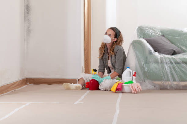 Reliable Mold Cleanup contractor in Mount Airy, MD by WQB Mold Removal